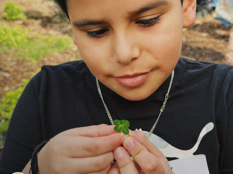 a child holds a leaf